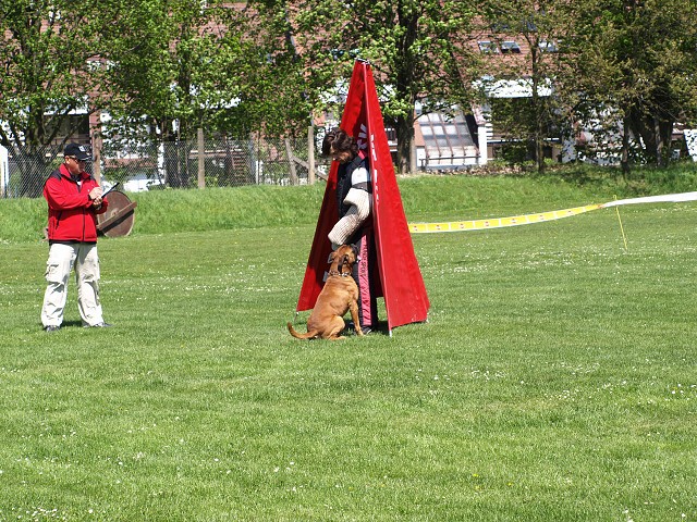 www.atibox.net * www.euroboxer.eu * www.boxergenealogia.eu